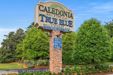 Discover your slice of Pawleys Island paradise with this on True Blue Plantation in South Carolina - for sale on GolfHomes.com, golf home, golf lot