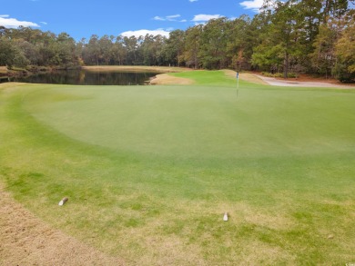 Discover your slice of Pawleys Island paradise with this on True Blue Plantation in South Carolina - for sale on GolfHomes.com, golf home, golf lot