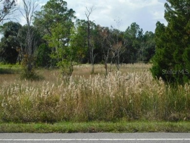 AMAZING POSSIBILITIES AWAIT YOUl 3 Parcels of prime property in on The Ridge Manor Oaks Golf and Country Club in Florida - for sale on GolfHomes.com, golf home, golf lot