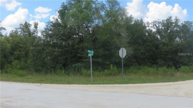 AMAZING POSSIBILITIES AWAIT YOUl 3 Parcels of prime property in on The Ridge Manor Oaks Golf and Country Club in Florida - for sale on GolfHomes.com, golf home, golf lot