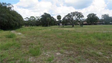 AMAZING POSSIBILITIES AWAIT YOUl 3 Parcels of prime property in on The Ridge Manor Oaks Golf and Country Club in Florida - for sale on GolfHomes.com, golf home, golf lot