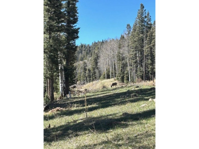 This amazing property has combined 3 lots to total approximately on Angel Fire Resort Country Club in New Mexico - for sale on GolfHomes.com, golf home, golf lot