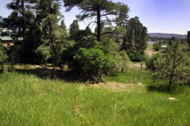 Wendy G Saunders, Keller Williams Realty Southwest Associates on Pagosa Springs Golf Club in Colorado - for sale on GolfHomes.com, golf home, golf lot