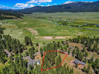 Gorgeous Valley and Mountain views with mature pine trees on Meadowcreek Golf Resort in Idaho - for sale on GolfHomes.com, golf home, golf lot