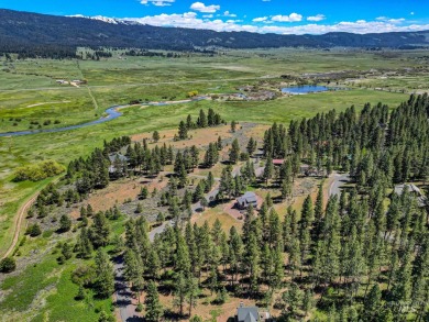 Gorgeous Valley and Mountain views with mature pine trees on Meadowcreek Golf Resort in Idaho - for sale on GolfHomes.com, golf home, golf lot