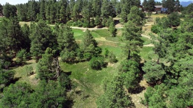 Wendy G Saunders, Keller Williams Realty Southwest Associates on Pagosa Springs Golf Club in Colorado - for sale on GolfHomes.com, golf home, golf lot