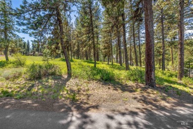 Gorgeous Valley and Mountain views with mature pine trees on Meadowcreek Golf Resort in Idaho - for sale on GolfHomes.com, golf home, golf lot