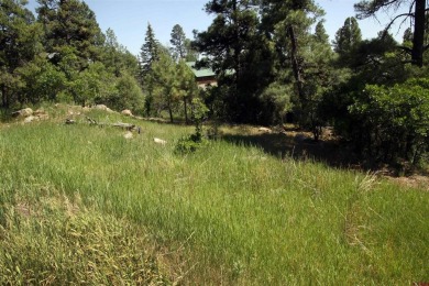 Wendy G Saunders, Keller Williams Realty Southwest Associates on Pagosa Springs Golf Club in Colorado - for sale on GolfHomes.com, golf home, golf lot