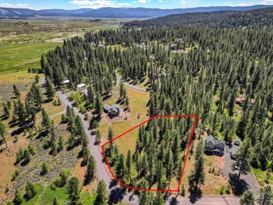 Gorgeous Valley and Mountain views with mature pine trees on Meadowcreek Golf Resort in Idaho - for sale on GolfHomes.com, golf home, golf lot