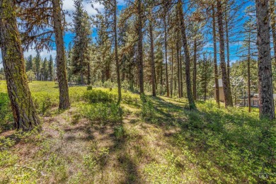 Gorgeous Valley and Mountain views with mature pine trees on Meadowcreek Golf Resort in Idaho - for sale on GolfHomes.com, golf home, golf lot