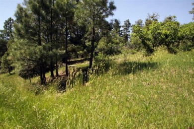 Wendy G Saunders, Keller Williams Realty Southwest Associates on Pagosa Springs Golf Club in Colorado - for sale on GolfHomes.com, golf home, golf lot