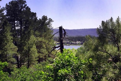 Wendy G Saunders, Keller Williams Realty Southwest Associates on Pagosa Springs Golf Club in Colorado - for sale on GolfHomes.com, golf home, golf lot