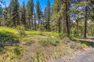 Gorgeous Valley and Mountain views with mature pine trees on Meadowcreek Golf Resort in Idaho - for sale on GolfHomes.com, golf home, golf lot