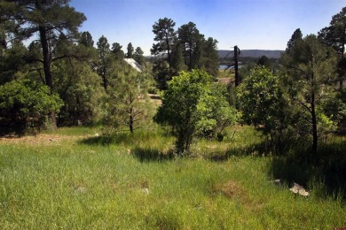 Wendy G Saunders, Keller Williams Realty Southwest Associates on Pagosa Springs Golf Club in Colorado - for sale on GolfHomes.com, golf home, golf lot