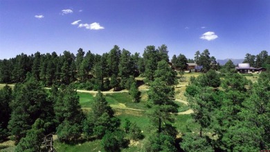 Wendy G Saunders, Keller Williams Realty Southwest Associates on Pagosa Springs Golf Club in Colorado - for sale on GolfHomes.com, golf home, golf lot