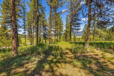 Gorgeous Valley and Mountain views with mature pine trees on Meadowcreek Golf Resort in Idaho - for sale on GolfHomes.com, golf home, golf lot