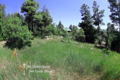 Wendy G Saunders, Keller Williams Realty Southwest Associates on Pagosa Springs Golf Club in Colorado - for sale on GolfHomes.com, golf home, golf lot