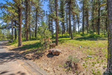 Gorgeous Valley and Mountain views with mature pine trees on Meadowcreek Golf Resort in Idaho - for sale on GolfHomes.com, golf home, golf lot