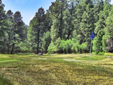 Wendy G Saunders, Keller Williams Realty Southwest Associates on Pagosa Springs Golf Club in Colorado - for sale on GolfHomes.com, golf home, golf lot