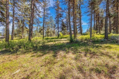 Gorgeous Valley and Mountain views with mature pine trees on Meadowcreek Golf Resort in Idaho - for sale on GolfHomes.com, golf home, golf lot