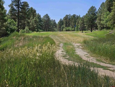 Wendy G Saunders, Keller Williams Realty Southwest Associates on Pagosa Springs Golf Club in Colorado - for sale on GolfHomes.com, golf home, golf lot