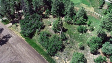 Wendy G Saunders, Keller Williams Realty Southwest Associates on Pagosa Springs Golf Club in Colorado - for sale on GolfHomes.com, golf home, golf lot