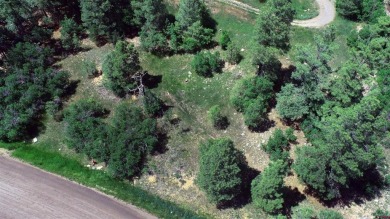 Wendy G Saunders, Keller Williams Realty Southwest Associates on Pagosa Springs Golf Club in Colorado - for sale on GolfHomes.com, golf home, golf lot