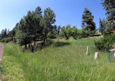 Wendy G Saunders, Keller Williams Realty Southwest Associates on Pagosa Springs Golf Club in Colorado - for sale on GolfHomes.com, golf home, golf lot