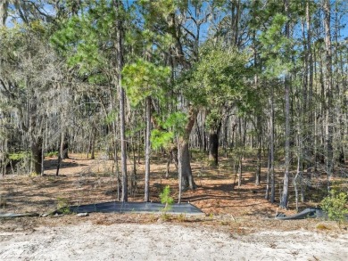 Discover the perfect blend of luxury, privacy, and natural on Savannah Quarters Country Club in Georgia - for sale on GolfHomes.com, golf home, golf lot