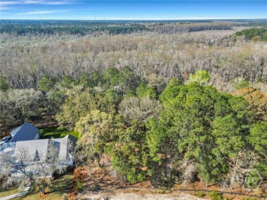 Discover the perfect blend of luxury, privacy, and natural on Savannah Quarters Country Club in Georgia - for sale on GolfHomes.com, golf home, golf lot