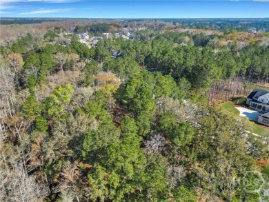 Discover the perfect blend of luxury, privacy, and natural on Savannah Quarters Country Club in Georgia - for sale on GolfHomes.com, golf home, golf lot