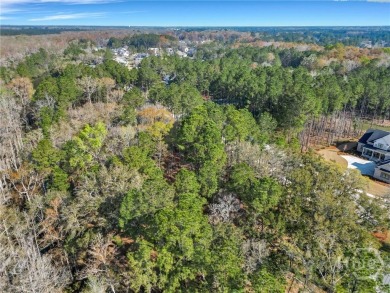 Discover the perfect blend of luxury, privacy, and natural on Savannah Quarters Country Club in Georgia - for sale on GolfHomes.com, golf home, golf lot