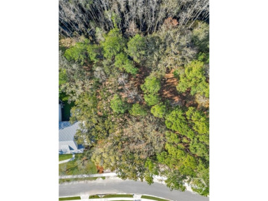 Discover the perfect blend of luxury, privacy, and natural on Savannah Quarters Country Club in Georgia - for sale on GolfHomes.com, golf home, golf lot