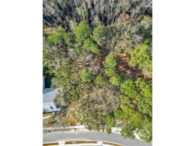 Discover the perfect blend of luxury, privacy, and natural on Savannah Quarters Country Club in Georgia - for sale on GolfHomes.com, golf home, golf lot