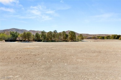 A rare opportunity to own a premium golf course lot in on Southern Highlands Golf Club in Nevada - for sale on GolfHomes.com, golf home, golf lot