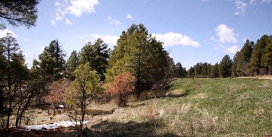 Wendy G Saunders, Keller Williams Realty Southwest Associates on Pagosa Springs Golf Club in Colorado - for sale on GolfHomes.com, golf home, golf lot