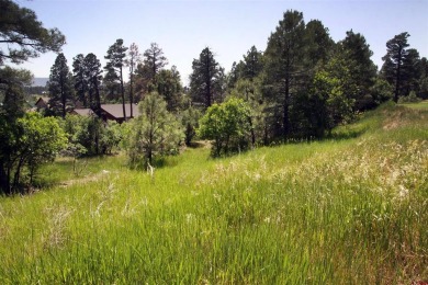 Wendy G Saunders, Keller Williams Realty Southwest Associates on Pagosa Springs Golf Club in Colorado - for sale on GolfHomes.com, golf home, golf lot