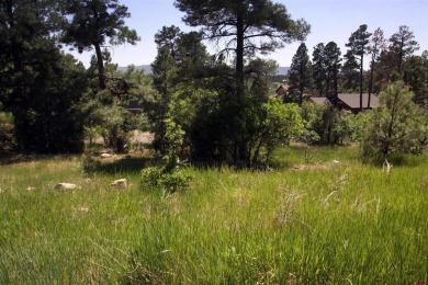 Wendy G Saunders, Keller Williams Realty Southwest Associates on Pagosa Springs Golf Club in Colorado - for sale on GolfHomes.com, golf home, golf lot