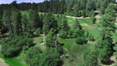 Wendy G Saunders, Keller Williams Realty Southwest Associates on Pagosa Springs Golf Club in Colorado - for sale on GolfHomes.com, golf home, golf lot