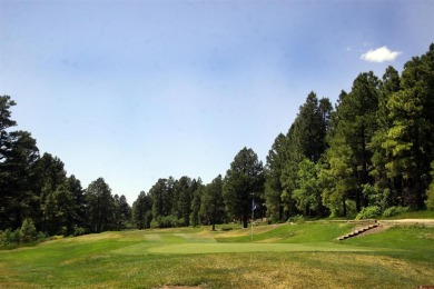 Wendy G Saunders, Keller Williams Realty Southwest Associates on Pagosa Springs Golf Club in Colorado - for sale on GolfHomes.com, golf home, golf lot