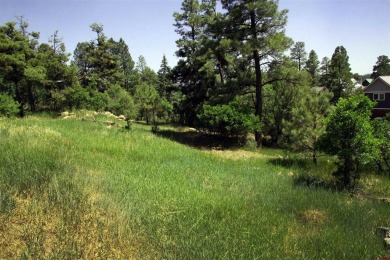 Wendy G Saunders, Keller Williams Realty Southwest Associates on Pagosa Springs Golf Club in Colorado - for sale on GolfHomes.com, golf home, golf lot