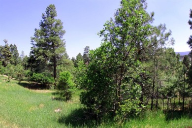 Wendy G Saunders, Keller Williams Realty Southwest Associates on Pagosa Springs Golf Club in Colorado - for sale on GolfHomes.com, golf home, golf lot