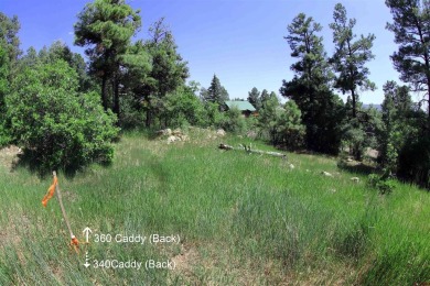 Wendy G Saunders, Keller Williams Realty Southwest Associates on Pagosa Springs Golf Club in Colorado - for sale on GolfHomes.com, golf home, golf lot