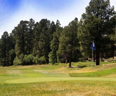 Wendy G Saunders, Keller Williams Realty Southwest Associates on Pagosa Springs Golf Club in Colorado - for sale on GolfHomes.com, golf home, golf lot