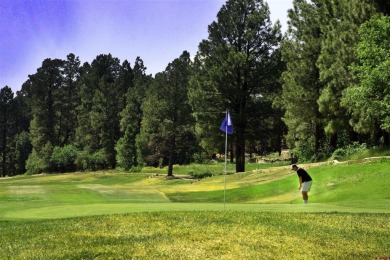 Wendy G Saunders, Keller Williams Realty Southwest Associates on Pagosa Springs Golf Club in Colorado - for sale on GolfHomes.com, golf home, golf lot