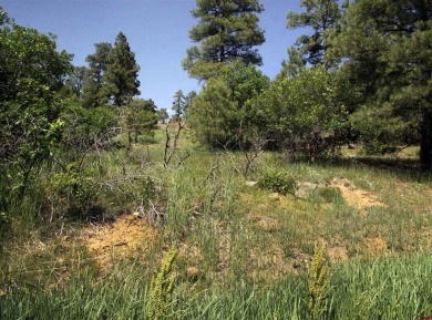 Wendy G Saunders, Keller Williams Realty Southwest Associates on Pagosa Springs Golf Club in Colorado - for sale on GolfHomes.com, golf home, golf lot