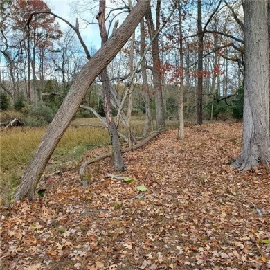 Two private lots (1.16 acres) overlooking small creek in the on Indian Creek Yacht and Country Club in Virginia - for sale on GolfHomes.com, golf home, golf lot