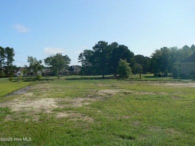 Gated community with cleared golf course lot. Great on Crow Creek Golf Club in North Carolina - for sale on GolfHomes.com, golf home, golf lot