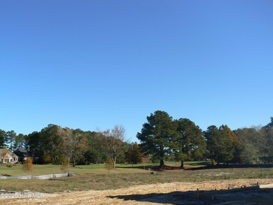 Gated community with cleared golf course lot. Great on Crow Creek Golf Club in North Carolina - for sale on GolfHomes.com, golf home, golf lot