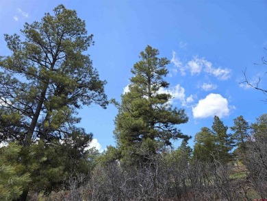 Wendy G Saunders, Keller Williams Realty Southwest Associates on Pagosa Springs Golf Club in Colorado - for sale on GolfHomes.com, golf home, golf lot